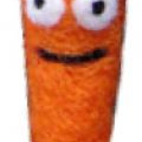 Needle Felt Carrot Magnet