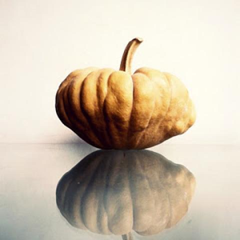 Holiday Crafts | Halloween, Thanksgiving and Christmas