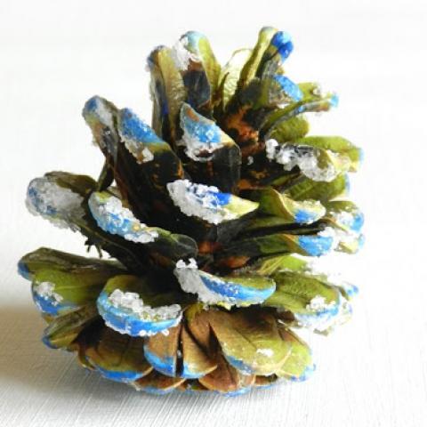 Frosted Holiday Pine Cones
